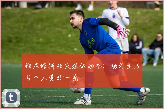 维尼修斯社交媒体动态:场外生活与个人爱好一览