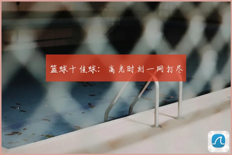 篮球十佳球：高光时刻一网打尽