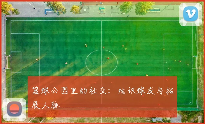 篮球公园里的社交:结识球友与拓展人脉